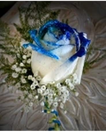 white rose with blue and glitter tipped